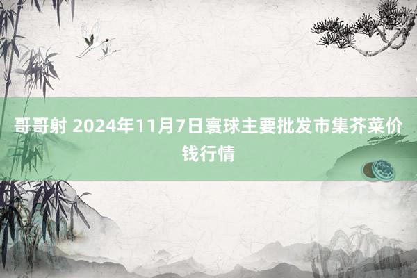 哥哥射 2024年11月7日寰球主要批发市集芥菜价钱行情