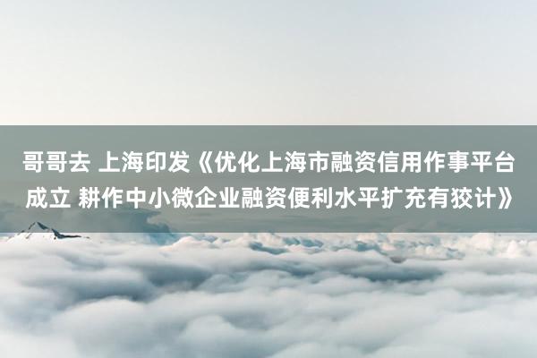 哥哥去 上海印发《优化上海市融资信用作事平台成立 耕作中小微企业融资便利水平扩充有狡计》