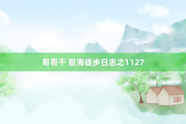 哥哥干 股海徒步日志之1127