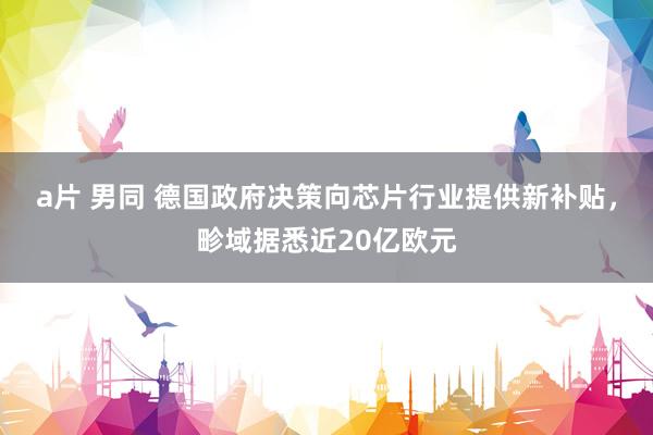 a片 男同 德国政府决策向芯片行业提供新补贴，畛域据悉近20亿欧元