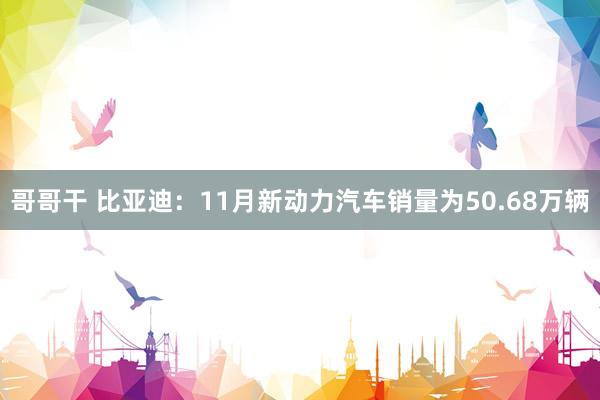 哥哥干 比亚迪：11月新动力汽车销量为50.68万辆