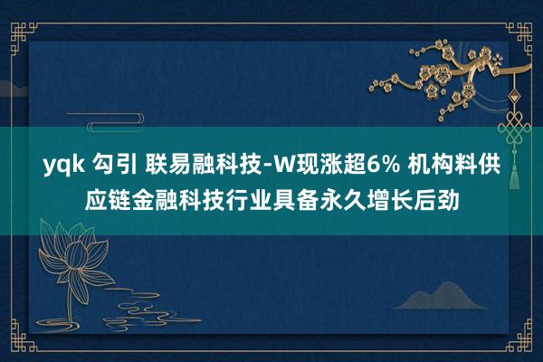 yqk 勾引 联易融科技-W现涨超6% 机构料供应链金融科技行业具备永久增长后劲