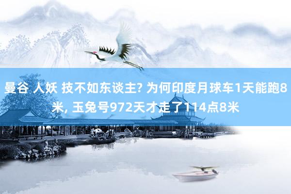 曼谷 人妖 技不如东谈主? 为何印度月球车1天能跑8米， 玉兔号972天才走了114点8米