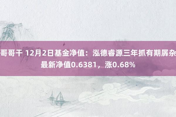 哥哥干 12月2日基金净值：泓德睿源三年抓有期羼杂最新净值0.6381，涨0.68%