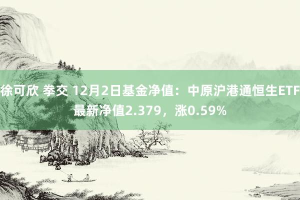 徐可欣 拳交 12月2日基金净值：中原沪港通恒生ETF最新净值2.379，涨0.59%