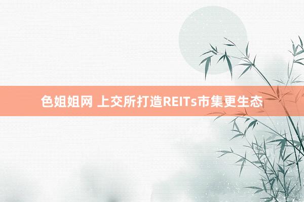 色姐姐网 上交所打造REITs市集更生态