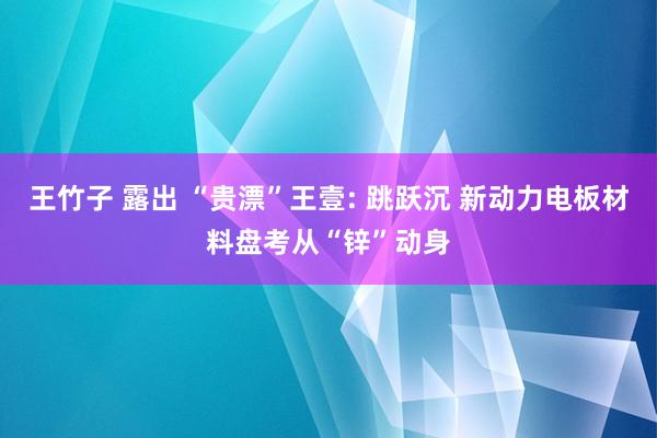 王竹子 露出 “贵漂”王壹: 跳跃沉 新动力电板材料盘考从“锌”动身