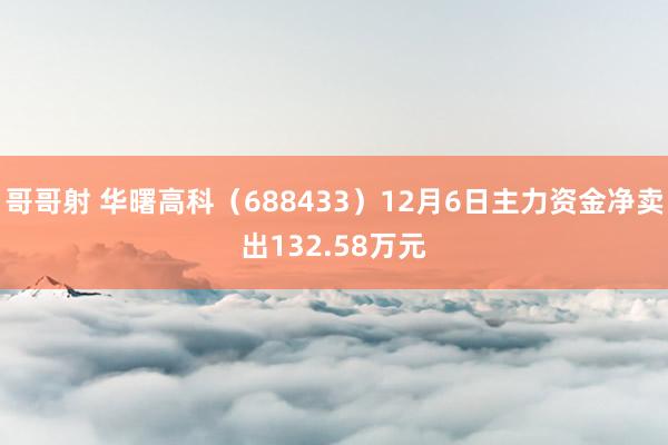 哥哥射 华曙高科（688433）12月6日主力资金净卖出132.58万元