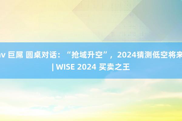 av 巨屌 圆桌对话：“抢域升空”，2024猜测低空将来 | WISE 2024 买卖之王