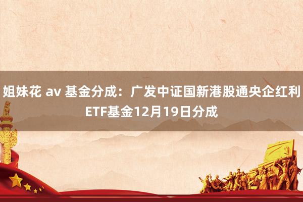 姐妹花 av 基金分成：广发中证国新港股通央企红利ETF基金12月19日分成