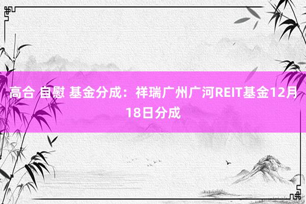 高合 自慰 基金分成：祥瑞广州广河REIT基金12月18日分成