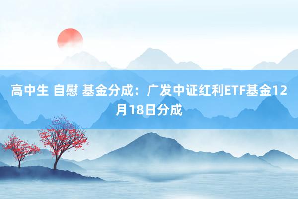 高中生 自慰 基金分成：广发中证红利ETF基金12月18日分成