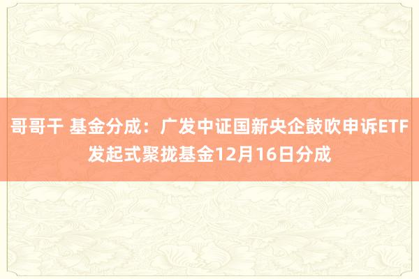 哥哥干 基金分成：广发中证国新央企鼓吹申诉ETF发起式聚拢基金12月16日分成