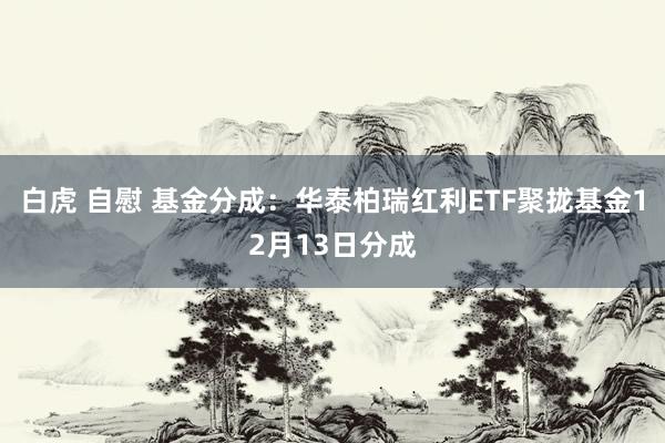 白虎 自慰 基金分成：华泰柏瑞红利ETF聚拢基金12月13日分成