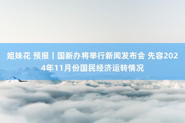 姐妹花 预报丨国新办将举行新闻发布会 先容2024年11月份国民经济运转情况