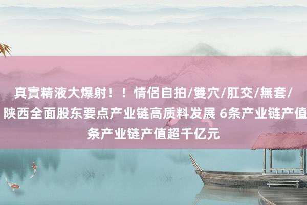 真實精液大爆射！！情侶自拍/雙穴/肛交/無套/大量噴精 陕西全面股东要点产业链高质料发展 6条产业链产值超千亿元