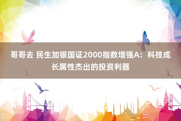 哥哥去 民生加银国证2000指数增强A：科技成长属性杰出的投资利器