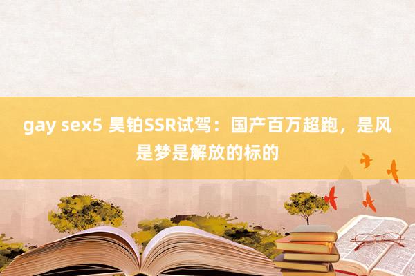 gay sex5 昊铂SSR试驾：国产百万超跑，是风是梦是解放的标的