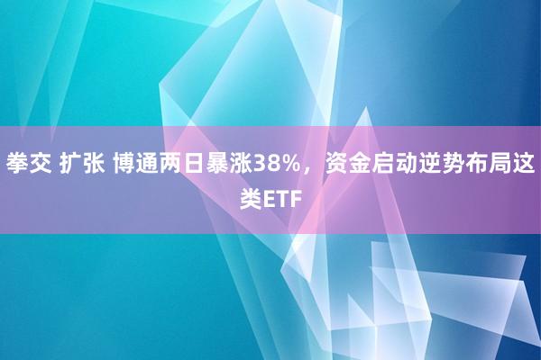 拳交 扩张 博通两日暴涨38%，资金启动逆势布局这类ETF