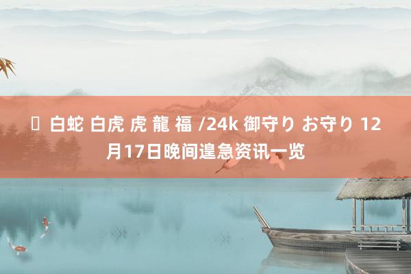 ✨白蛇 白虎 虎 龍 福 /24k 御守り お守り 12月17日晚间遑急资讯一览