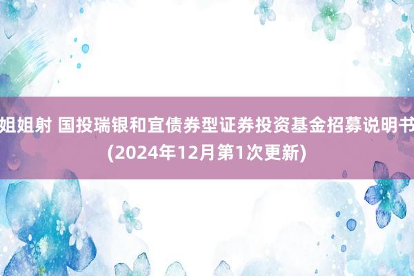 姐姐射 国投瑞银和宜债券型证券投资基金招募说明书(2024年12月第1次更新)