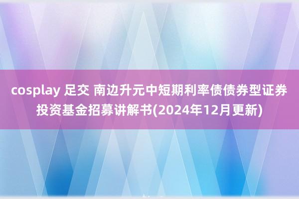 cosplay 足交 南边升元中短期利率债债券型证券投资基金招募讲解书(2024年12月更新)