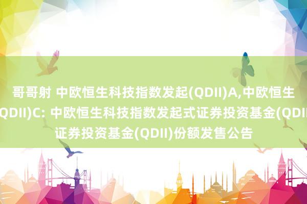 哥哥射 中欧恒生科技指数发起(QDII)A，中欧恒生科技指数发起(QDII)C: 中欧恒生科技指数发起式证券投资基金(QDII)份额发售公告