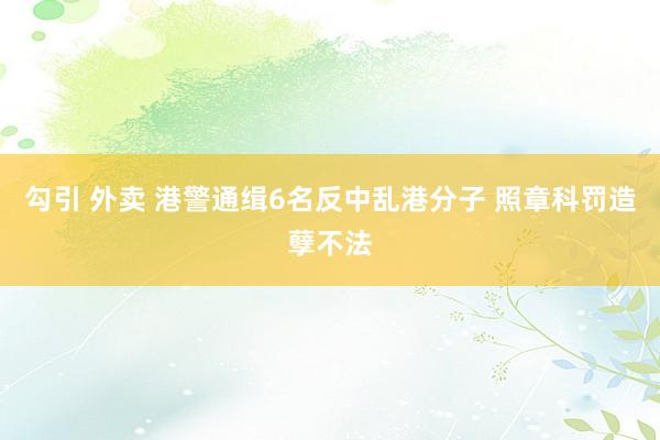 勾引 外卖 港警通缉6名反中乱港分子 照章科罚造孽不法