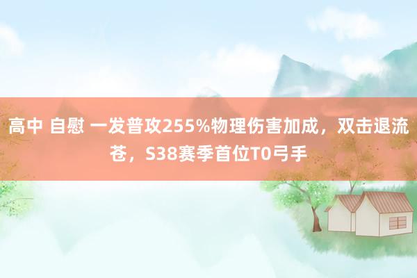 高中 自慰 一发普攻255%物理伤害加成，双击退流苍，S38赛季首位T0弓手