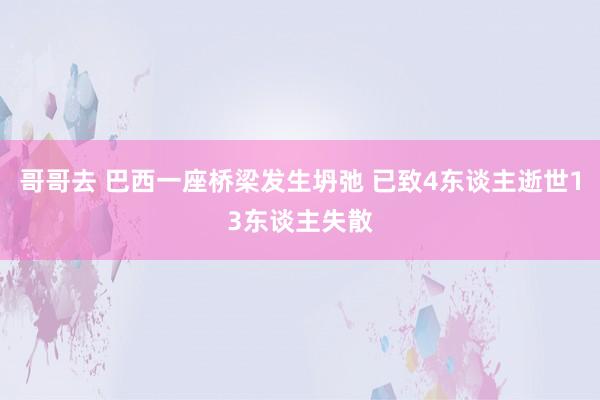 哥哥去 巴西一座桥梁发生坍弛 已致4东谈主逝世13东谈主失散