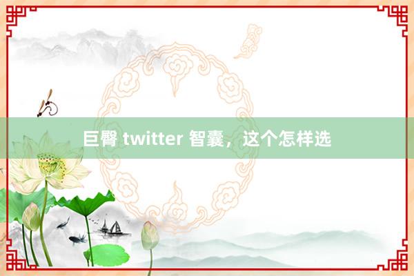 巨臀 twitter 智囊，这个怎样选