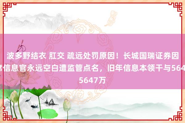 波多野结衣 肛交 疏远处罚原因！长城国瑞证券因首席信息官永远空白遭监管点名，旧年信息本领干与5647万