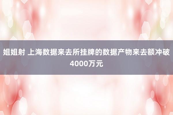 姐姐射 上海数据来去所挂牌的数据产物来去额冲破4000万元