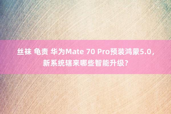 丝袜 龟责 华为Mate 70 Pro预装鸿蒙5.0，新系统辖来哪些智能升级？