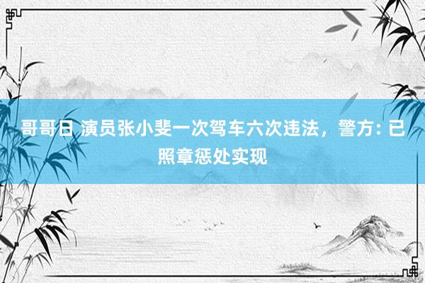 哥哥日 演员张小斐一次驾车六次违法，警方: 已照章惩处实现