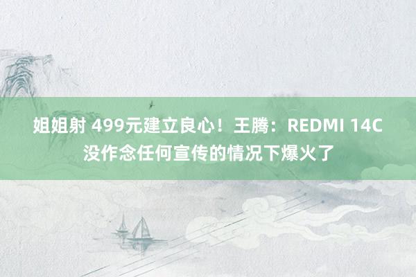 姐姐射 499元建立良心！王腾：REDMI 14C没作念任何宣传的情况下爆火了