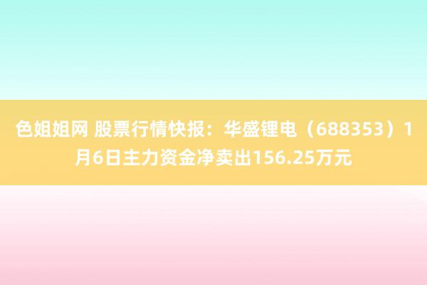 色姐姐网 股票行情快报：华盛锂电（688353）1月6日主力资金净卖出156.25万元