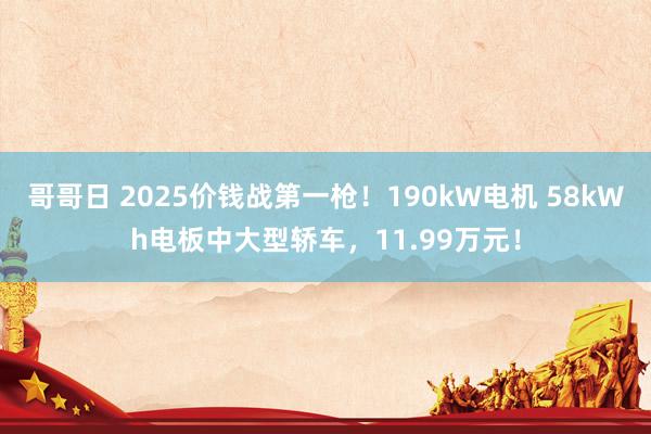 哥哥日 2025价钱战第一枪！190kW电机 58kWh电板中大型轿车，11.99万元！