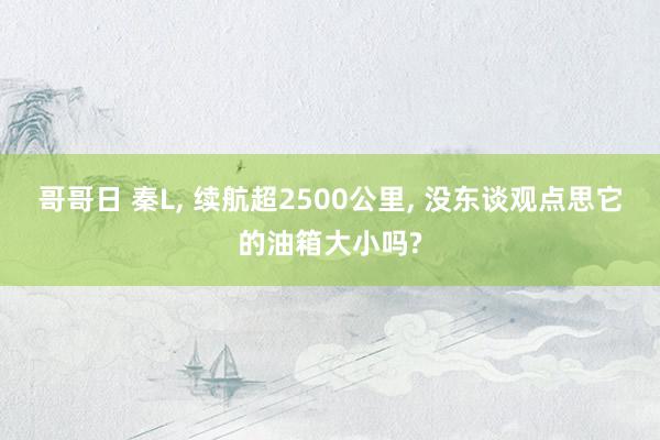 哥哥日 秦L， 续航超2500公里， 没东谈观点思它的油箱大小吗?