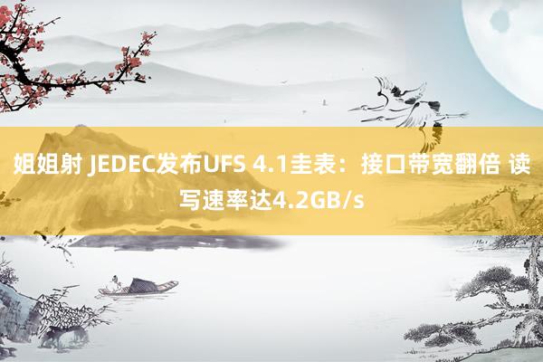 姐姐射 JEDEC发布UFS 4.1圭表：接口带宽翻倍 读写速率达4.2GB/s