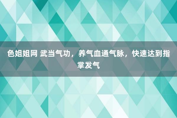 色姐姐网 武当气功，养气血通气脉，快速达到指掌发气