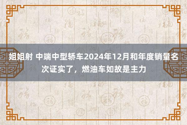 姐姐射 中端中型轿车2024年12月和年度销量名次证实了，燃油车如故是主力