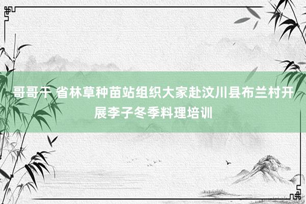 哥哥干 省林草种苗站组织大家赴汶川县布兰村开展李子冬季料理培训