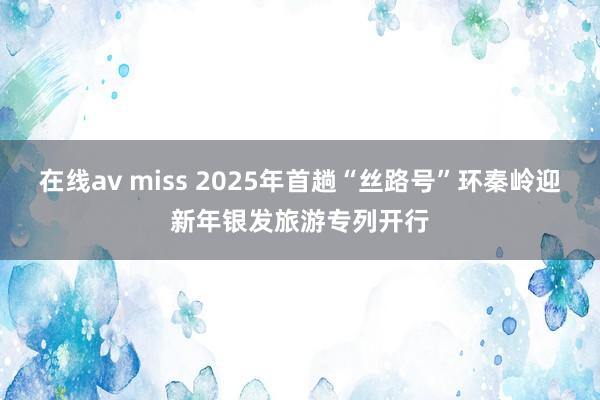 在线av miss 2025年首趟“丝路号”环秦岭迎新年银发旅游专列开行