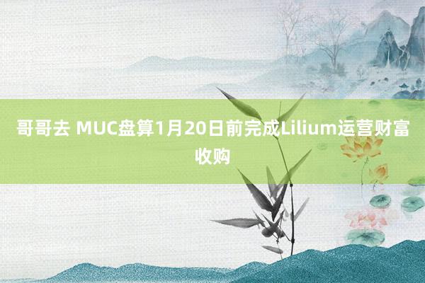 哥哥去 MUC盘算1月20日前完成Lilium运营财富收购