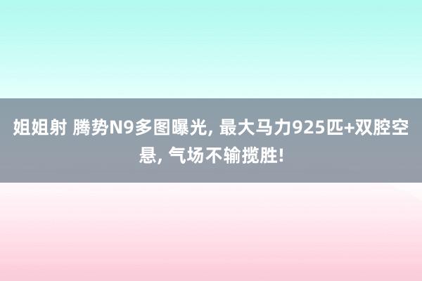 姐姐射 腾势N9多图曝光， 最大马力925匹+双腔空悬， 气场不输揽胜!