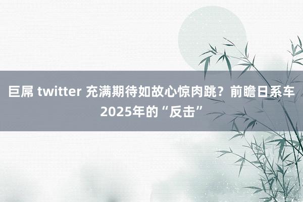 巨屌 twitter 充满期待如故心惊肉跳？前瞻日系车2025年的“反击”