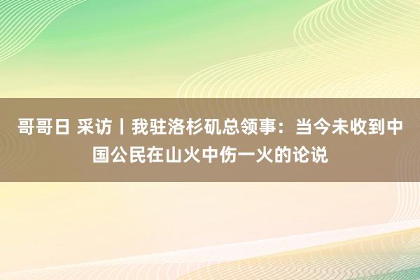 哥哥日 采访丨我驻洛杉矶总领事：当今未收到中国公民在山火中伤一火的论说