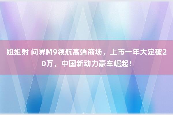 姐姐射 问界M9领航高端商场，上市一年大定破20万，中国新动力豪车崛起！