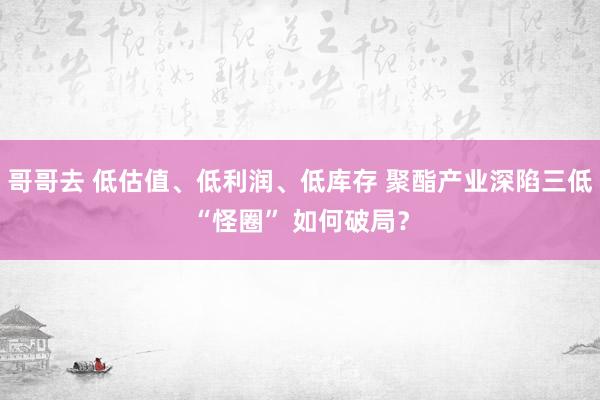 哥哥去 低估值、低利润、低库存 聚酯产业深陷三低“怪圈” 如何破局？